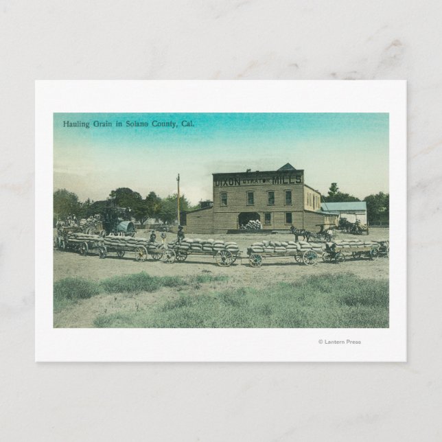 View of Millers Hauling Grain to Mill Postcard (Front)