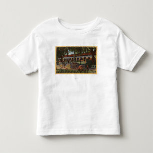 View of Mission, Memory Garden, Serra Statue Toddler T-shirt