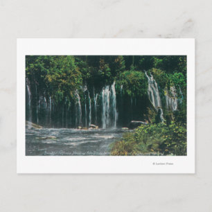 View of Mossbrae FallsShasta Springs, CA Postcard