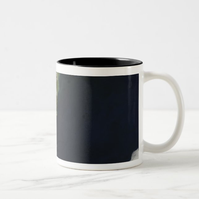 View of most of the South Island of New Zealand Two-Tone Coffee Mug (Right)