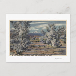 View of Mt. San Gorgonio & Palm Springs Postcard