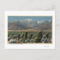 View of Mt. San Jacinto Near Palm Springs