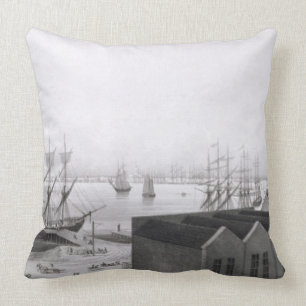 View of New Orleans taken from the Lower Cotton Pr Throw Pillow