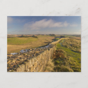 View of Norhumberland from Hadrian's Wall Postcard