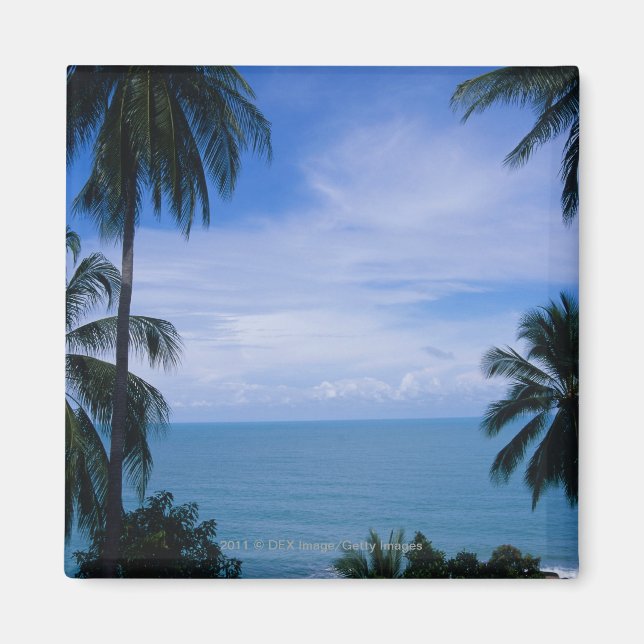 View of ocean horizon from land magnet (Front)
