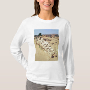 View of one of the giant Telemon statues T-Shirt