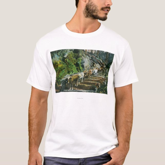 View of Ox-Teams Hauling Logs T-Shirt (Front)