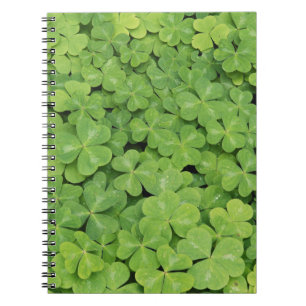 View of Oxalis Oregana wood Sorrel Foliage Notebook