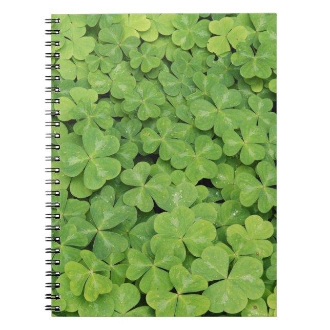 View of Oxalis Oregana wood Sorrel Foliage Notebook (Front)