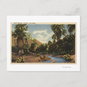 View of Palm Springs Canyon Postcard