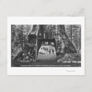 View of Pioneers Cabin, Men on Horseback Postcard