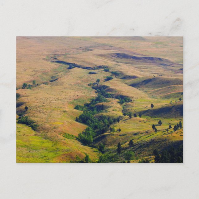 View of Plains Surrounding Bear Butte, SD Postcard (Front)