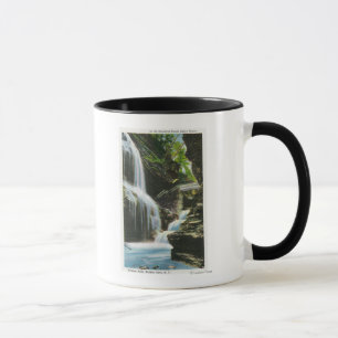 View of Rainbow Falls Mug