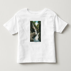 View of Rainbow Falls Toddler T-shirt