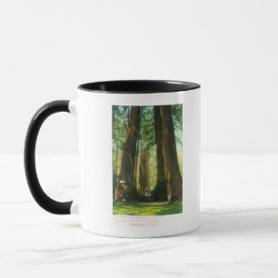 View of Redwood Twins at Big Tree Grove Mug