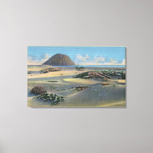 View of Sand Dunes Alongside the Coast Canvas Print
