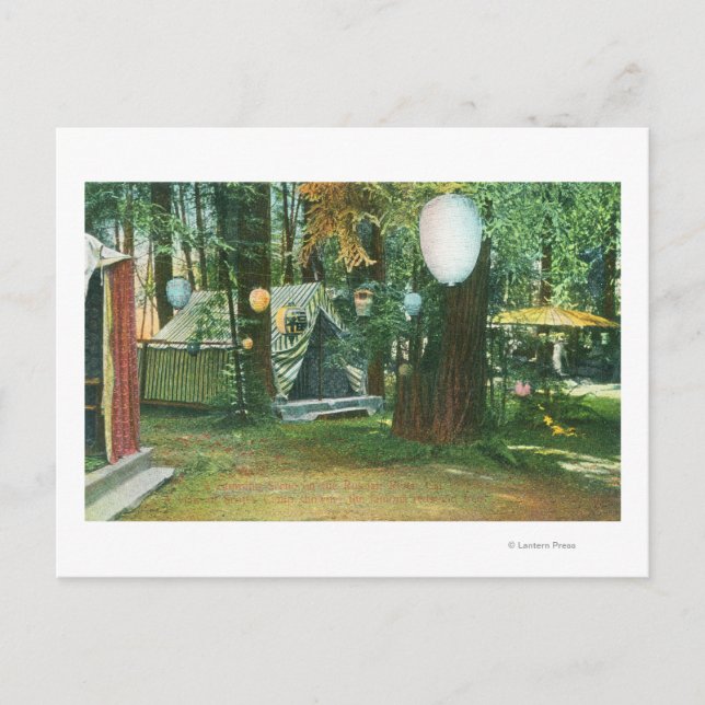 View of Scotts Camp, RedwoodsRussian River, CA Postcard (Front)