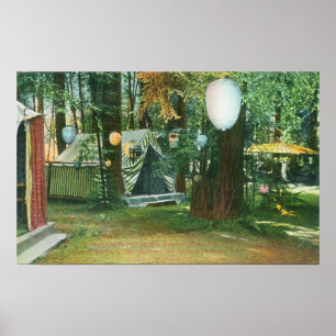 View of Scotts Camp, RedwoodsRussian River, CA Poster