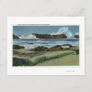 View of Seal Rock in between Waldport and Postcard