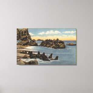 View of Seal Rocks with Seals Canvas Print