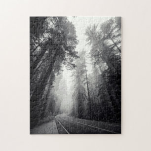 View Of Sequoia Trees In Forest Jigsaw Puzzle