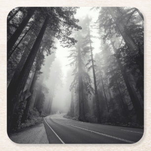 View Of Sequoia Trees In Forest Square Paper Coaster