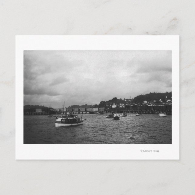 View of Ships at the 15th Annual Regatta Postcard (Front)