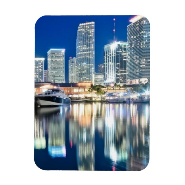 View of skyline with reflection in water, Miami Magnet (Vertical)