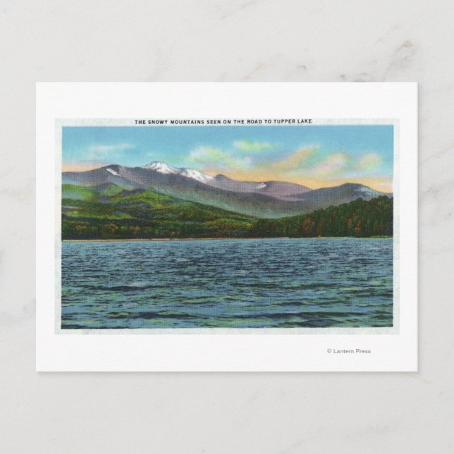 View of Snowy Mts from the Tupper Lake Road Postcard (Front)