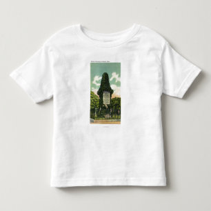View of Soldiers' Monument Toddler T-shirt