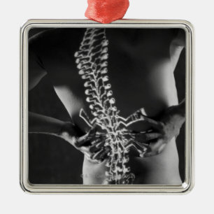 View of spinal chord metal ornament