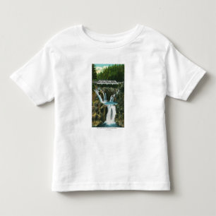 View of Split Rock Falls and Bridge Toddler T-shirt
