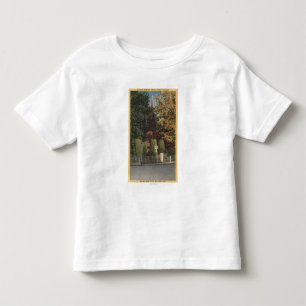 View of St. James Episcopal Church Toddler T-shirt