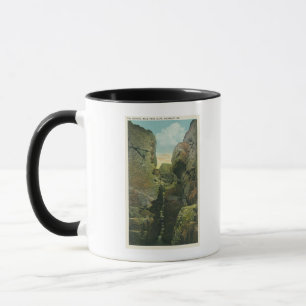 View of the Bald Head Cliff Crevice Mug