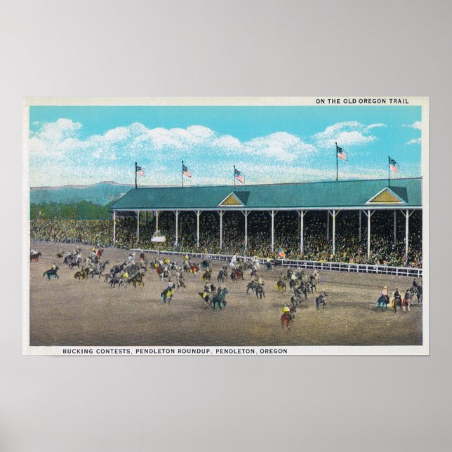 View of the Bucking Contests Poster (Front)