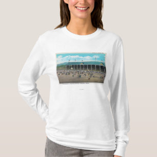 View of the Bucking Contests T-Shirt