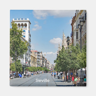 View of the centre of Seville Magnet
