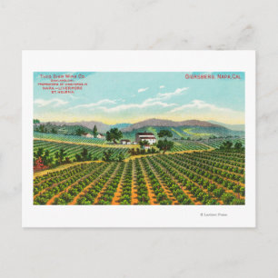 View of the Giersberg VineyardNapa, CA Postcard