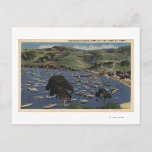 View of the Isthmus Harbour Postcard