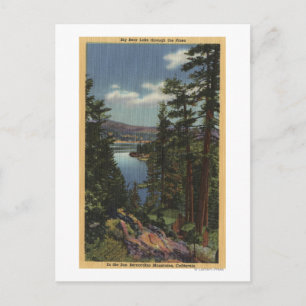 View of the Lake through the Pines # 2 Postcard