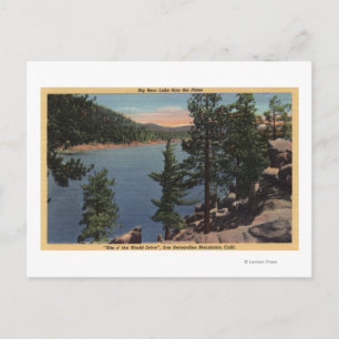 View of the Lake through the Pines Postcard