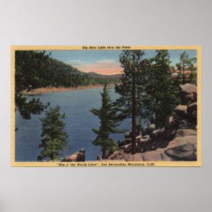 View of the Lake through the Pines Poster