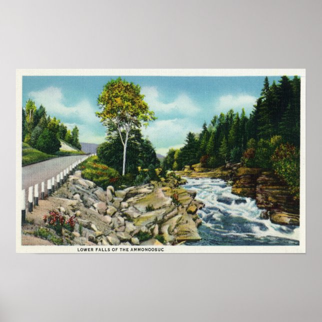 View of the Lower Falls of the Ammonoosuc River Poster (Front)