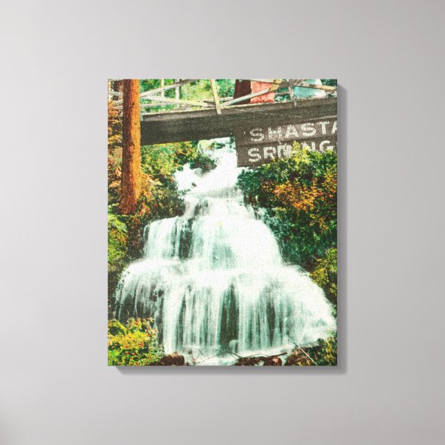 View of the Lower FallsShasta Springs, CA Canvas Print (Front)