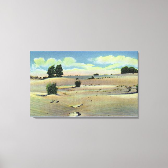 View of the Maine Desert Canvas Print (Front)