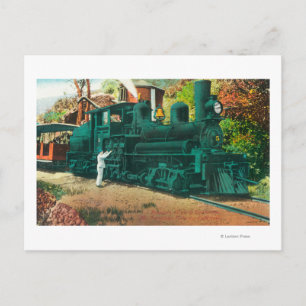 View of the Mt. Tamalpais Railway Train Postcard