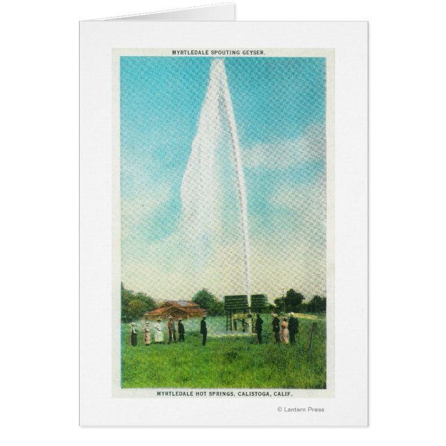 View of the Myrtledale Geyser at the Hot Springs (Front)