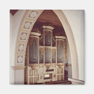 View of the Organ in the church at Rotha Magnet