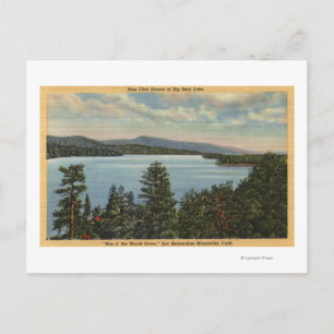 View of the Pine Clad Shores of Lake Postcard