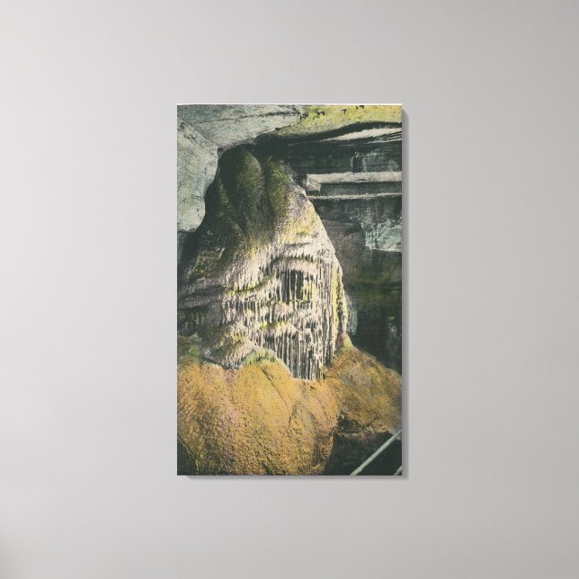 View of the Pipe Organ Canvas Print (Front)